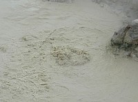 Yellowstone Mud Volcano Area (30).JPG